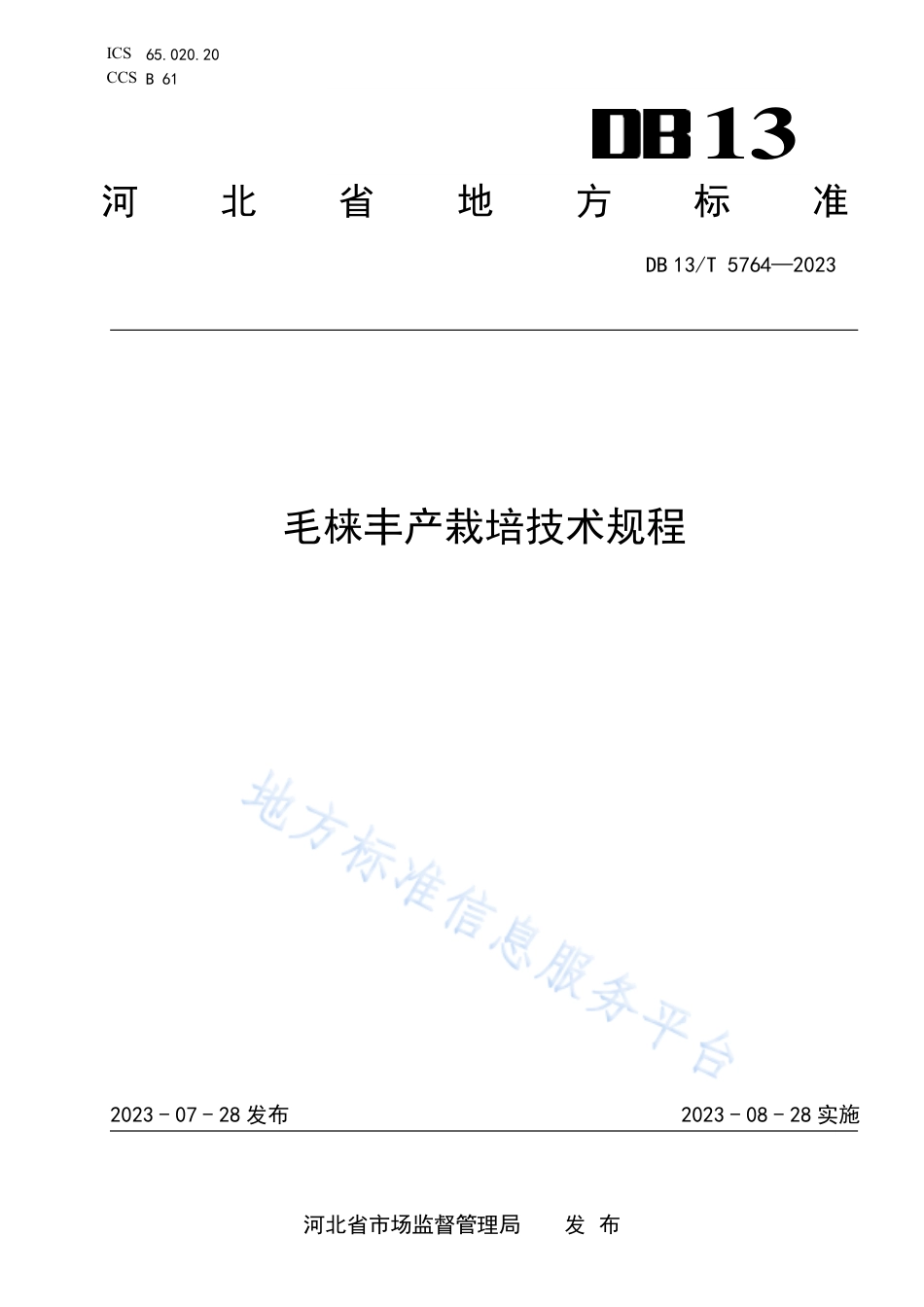 DB13_T 5764-2023毛梾丰产栽培技术规程.pdf_第1页