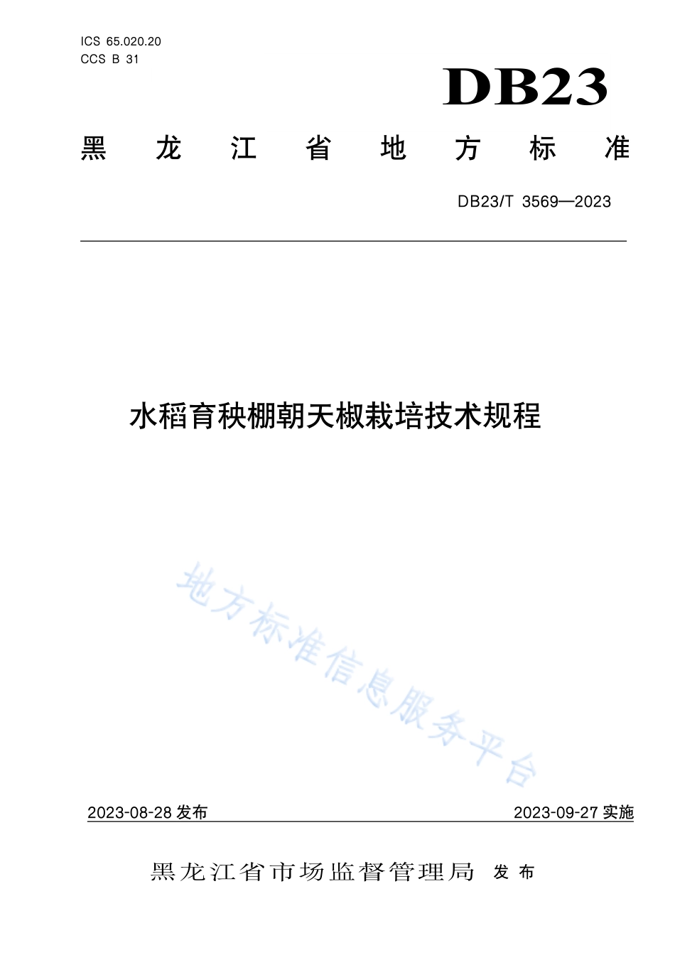 DB23_T 3569—2023水稻育秧棚朝天椒栽培.pdf_第1页