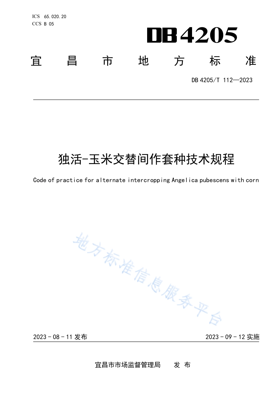 DB4205_T 112-2023独活-玉米交替间作套种技术规程.pdf_第1页