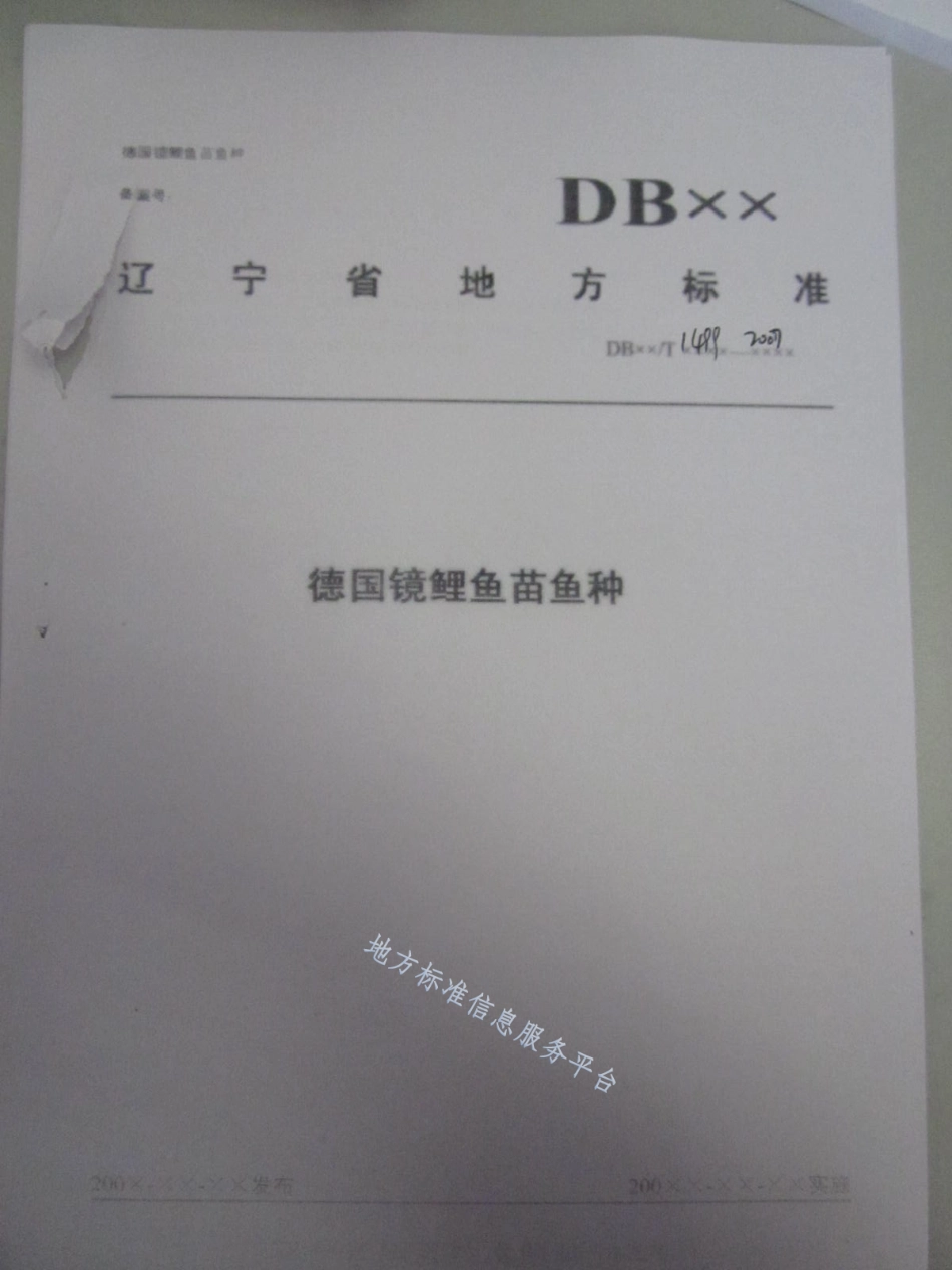 DB21_T 1499-2007德国镜鲤鱼鱼种.pdf_第1页