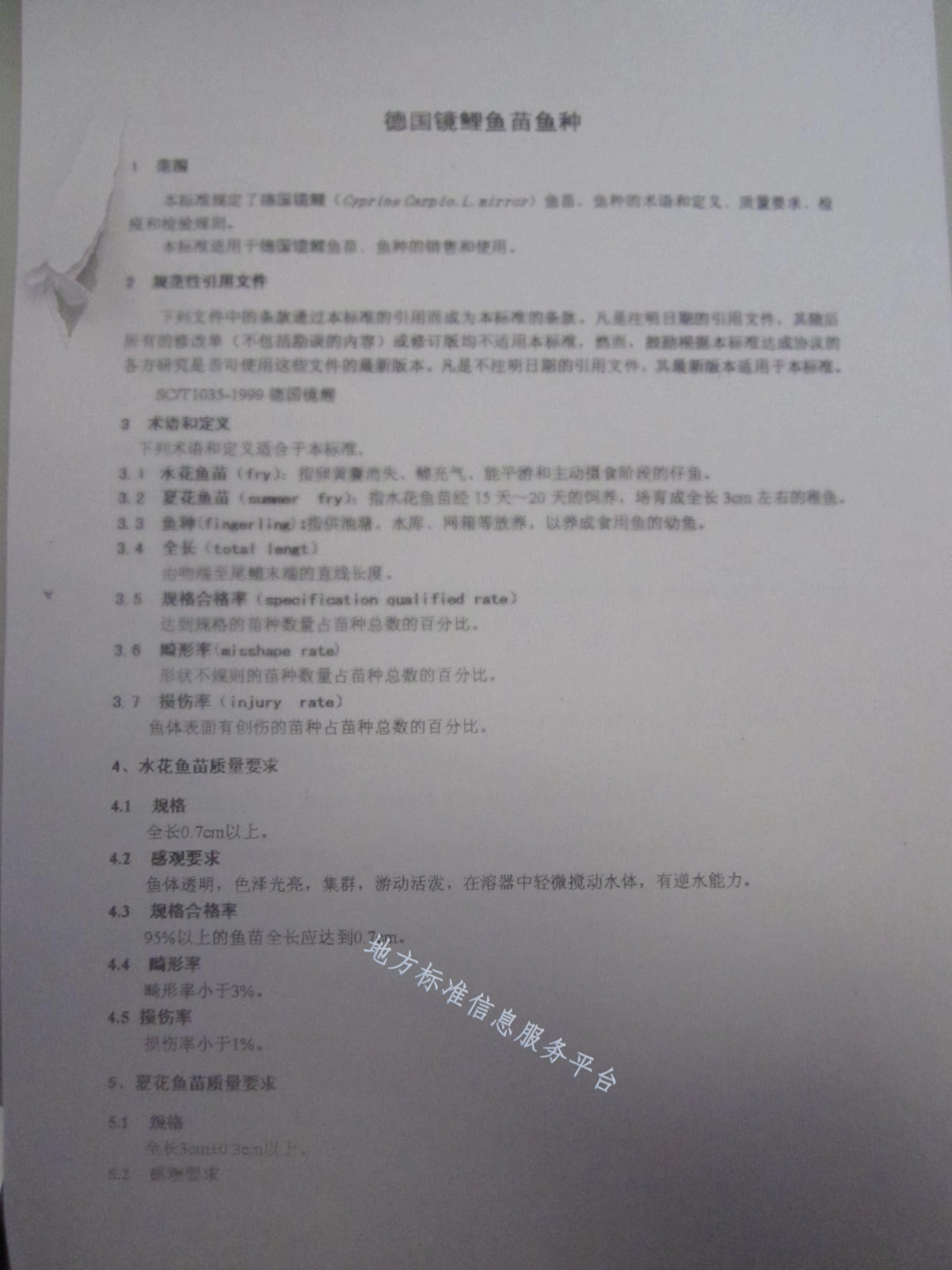 DB21_T 1499-2007德国镜鲤鱼鱼种.pdf_第3页