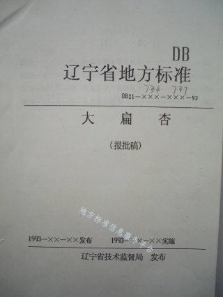 DB21_T 734-1993大扁杏苗木培育技术.pdf