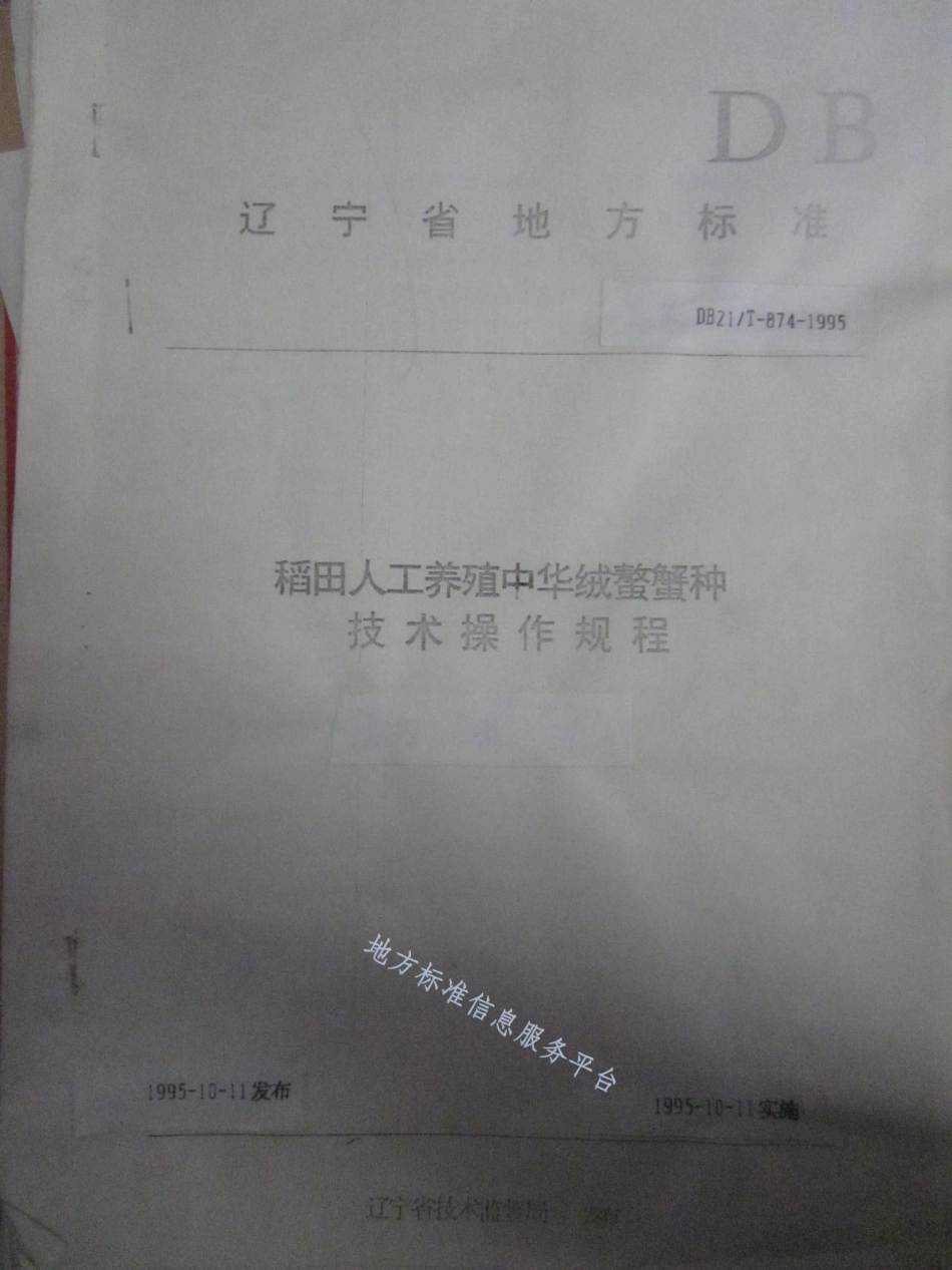 DB21_T 874-1995稻田人工养殖中华绒螯蟹种技术操作规程.pdf_第1页
