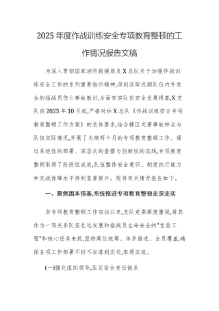 2025年度作战训练安全专项教育整顿的工作情况报告文稿.docx