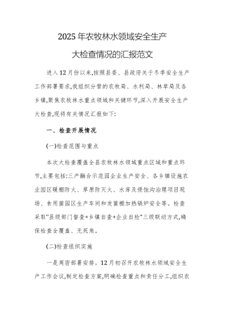 2025年农牧林水领域安全生产大检查情况的汇报范文.docx