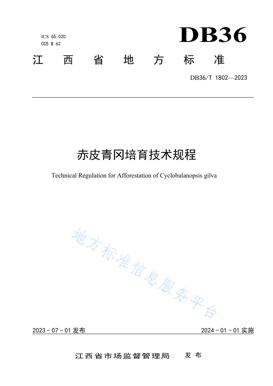 DB36_T 1802-2023赤皮青冈培育技术规程.pdf_第1页