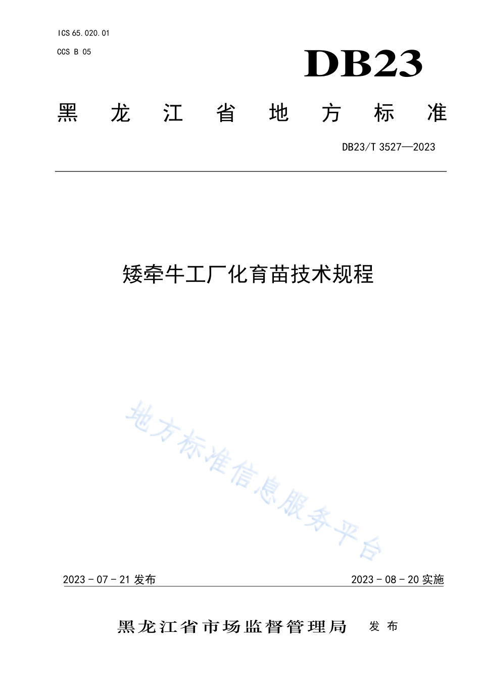 DB23_T 3527—2023矮牵牛工厂化育苗技术规程.pdf_第1页