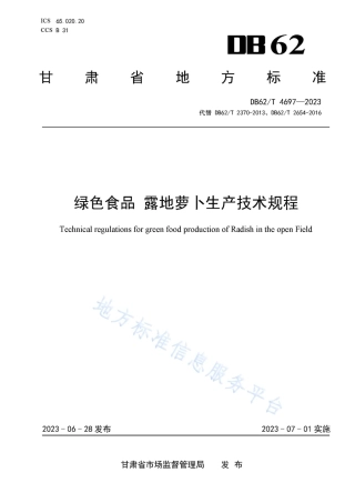 DB62_T 4697-2023绿色食品 露地萝卜生产技术规程.pdf