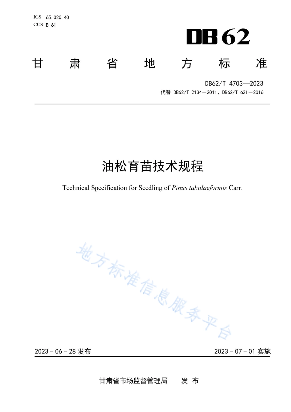 DB62_T 4703-2023油松育苗技术规程.pdf_第1页