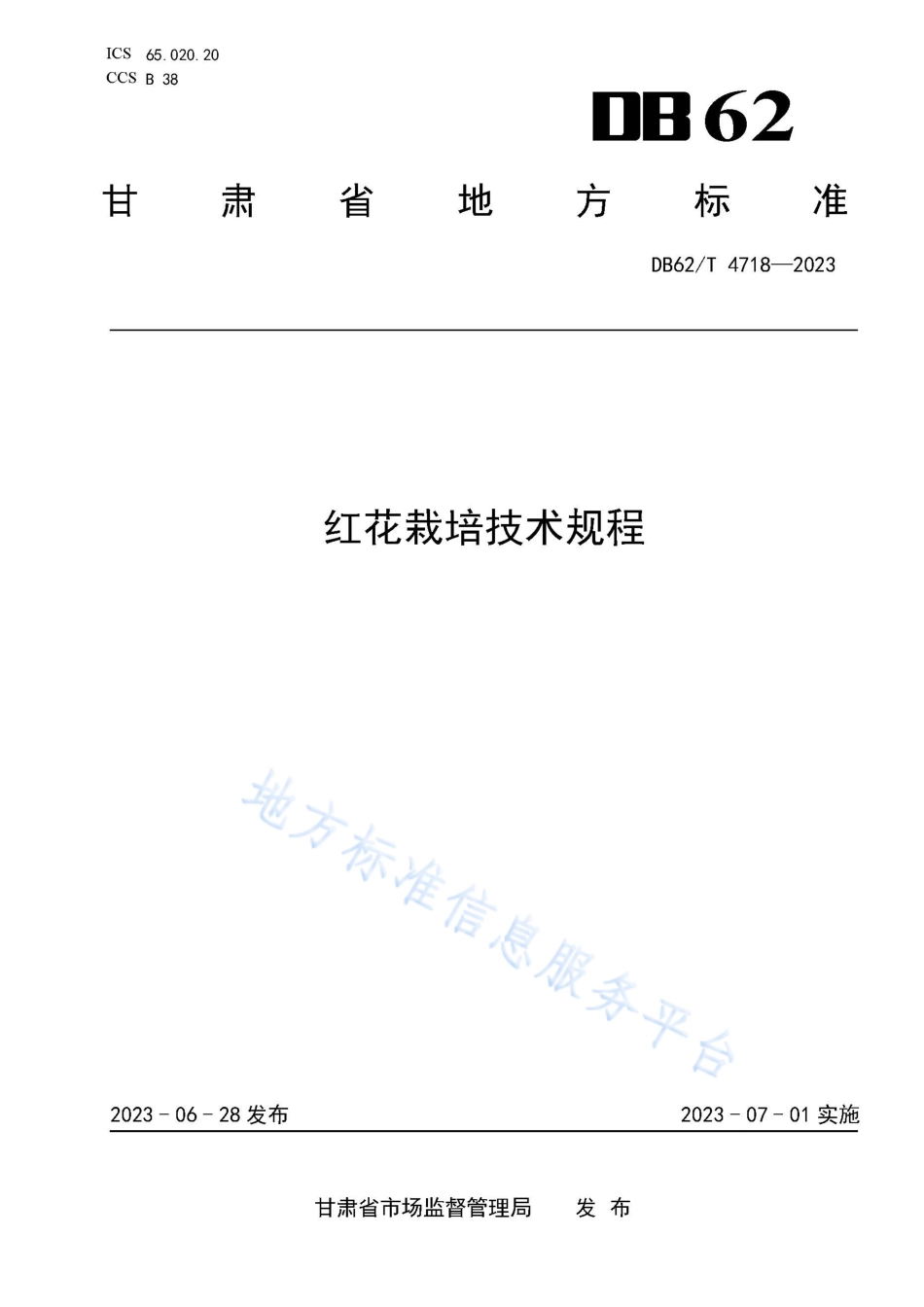 DB62_T 4718-2023红花栽培技术规程.pdf_第1页
