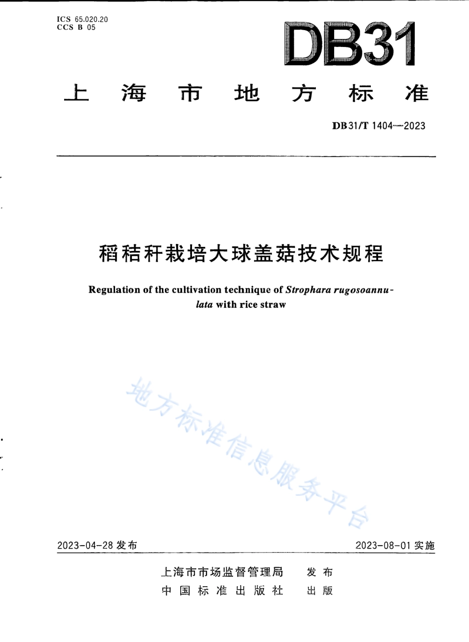 DB31_T 1404-2023稻秸秆栽培大球盖菇技术规程.pdf_第1页