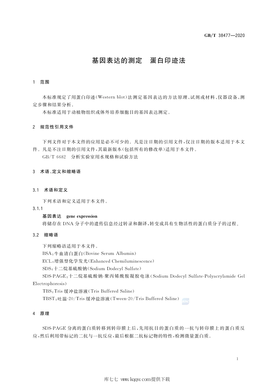 GB∕T 38477-2020 基因表达的测定 蛋白印迹法.pdf_第3页