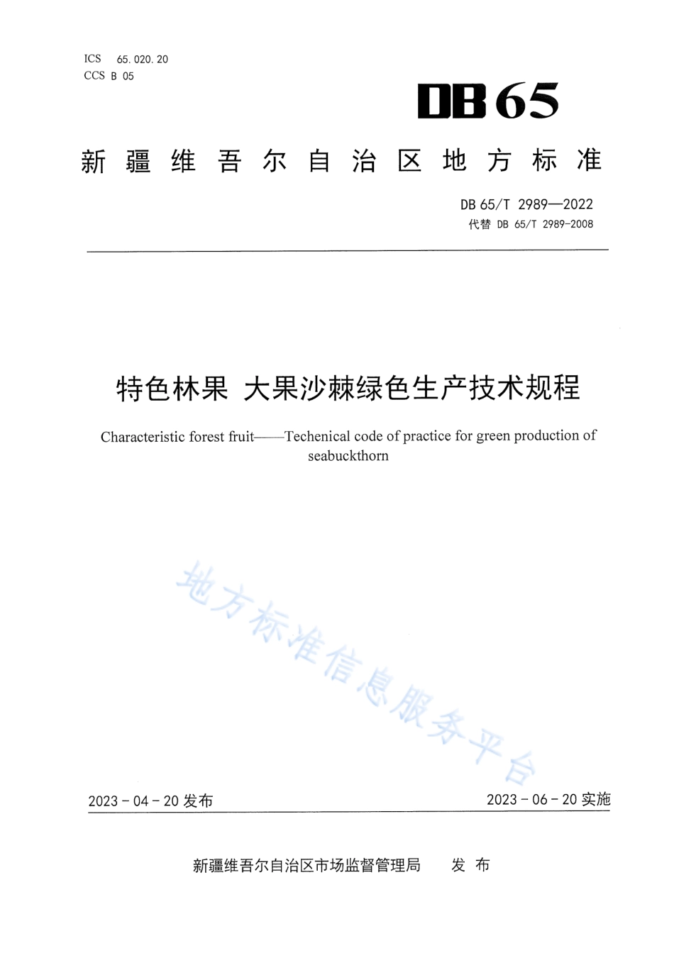 DB65_T2989-2022特色林果 大果沙棘绿色生产技术规程.pdf_第1页