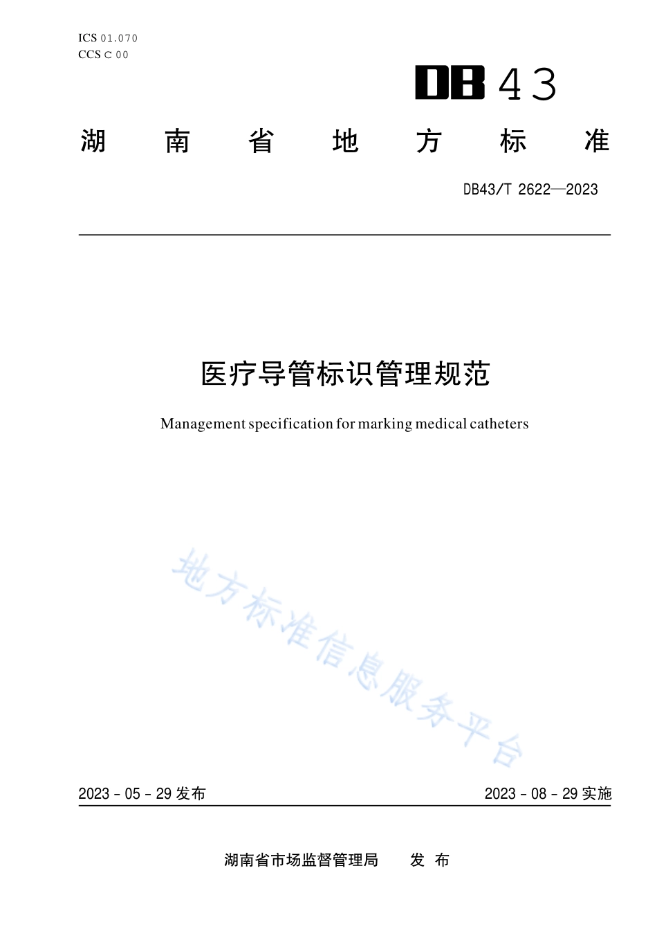 DB43_T 2622-2023医疗导管标识管理规范.pdf_第1页