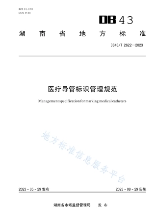 DB43_T 2622-2023医疗导管标识管理规范.pdf