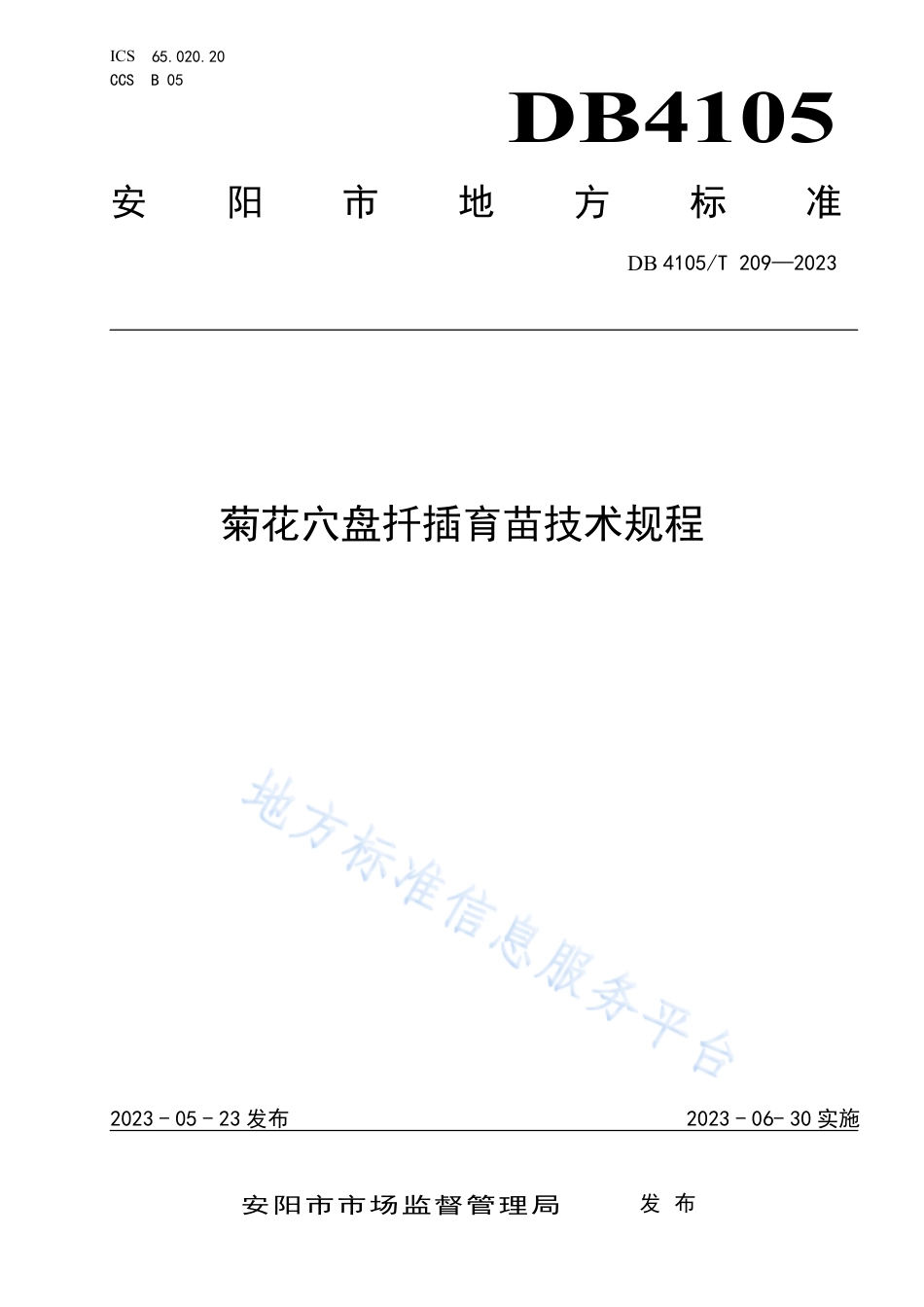 DB4105_T 209—2023菊花穴盘扦插育苗技术规程.pdf_第1页