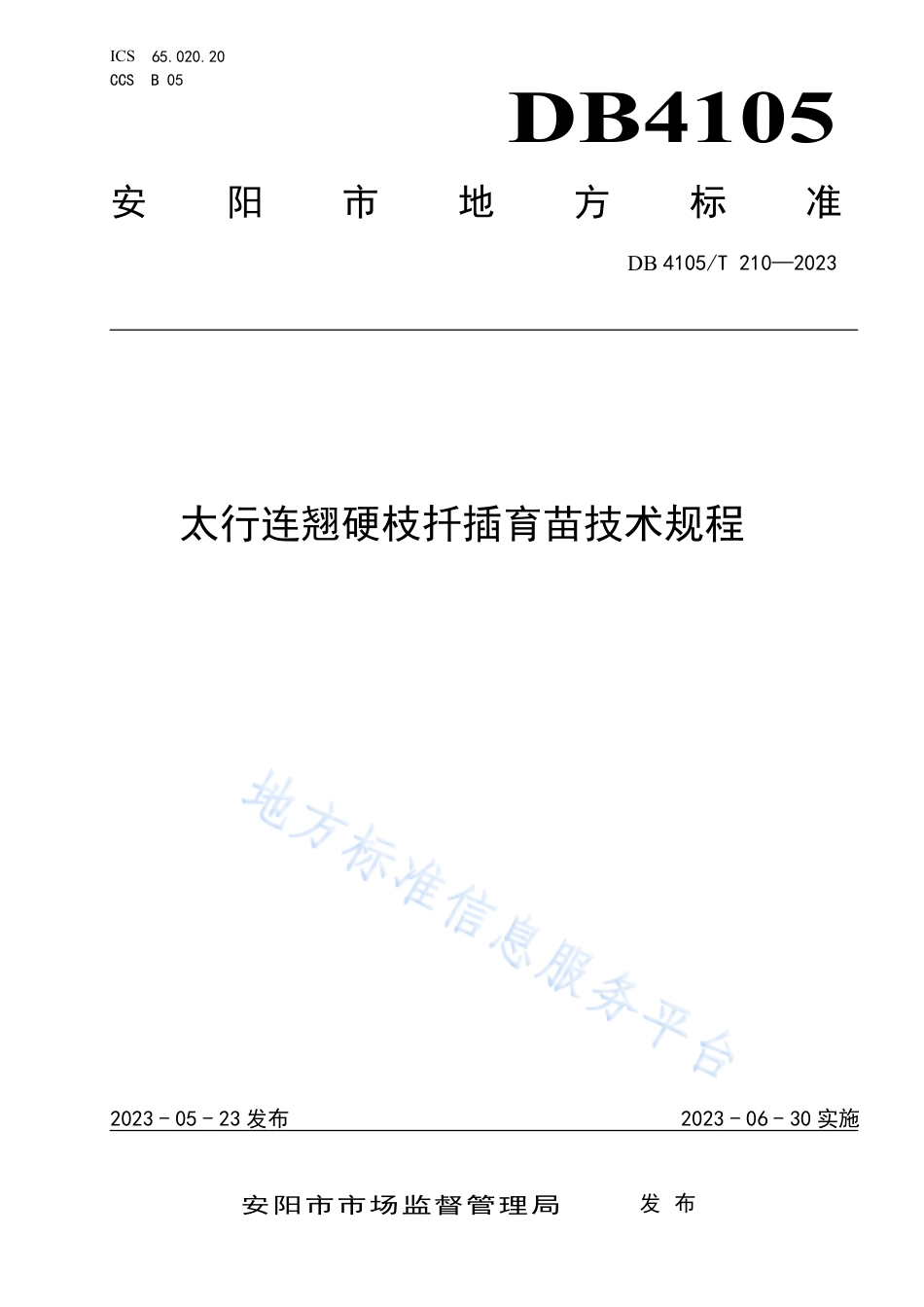 DB4105_T 210—2023太行连翘硬枝扦插育苗技术规程.pdf_第1页