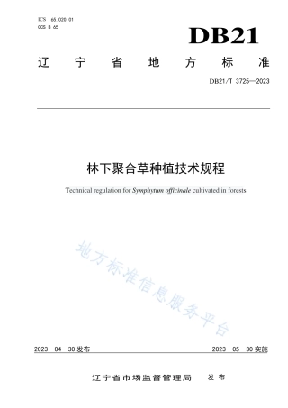 DB21_T 3725—2023林下聚合草种植技术规程.pdf