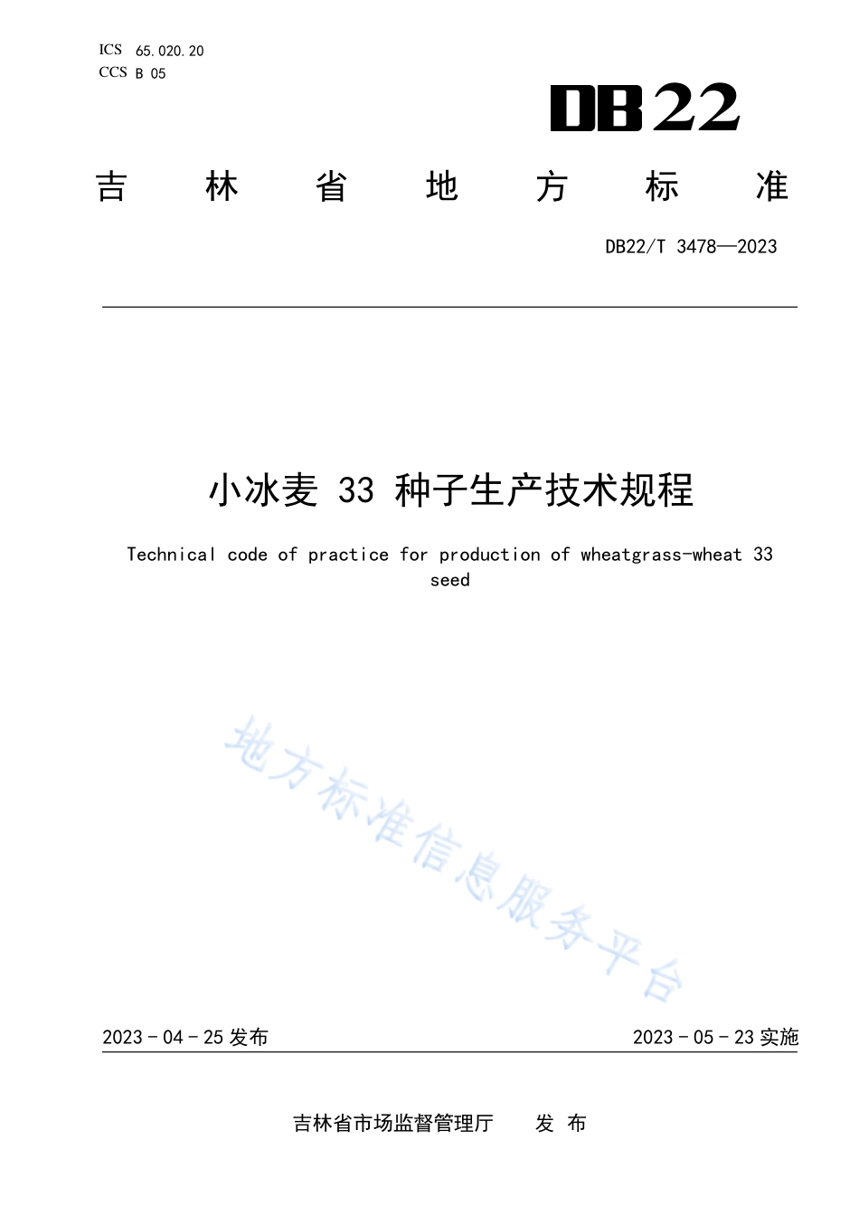 DB22_T 3478-2023小冰麦33种子生产技术规程.pdf_第1页