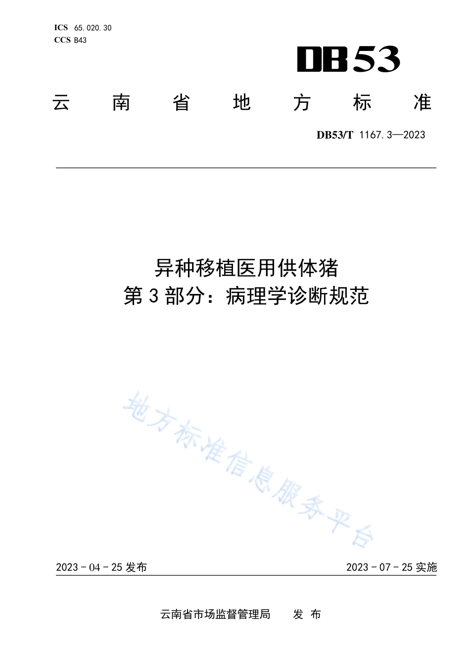 DB53_T 1167.3-2023异种移植医用供体猪 第3部分：病理学诊断规范.pdf_第1页