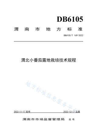DB6105_T 169-2022渭北小番茄露地栽培技术规程.pdf