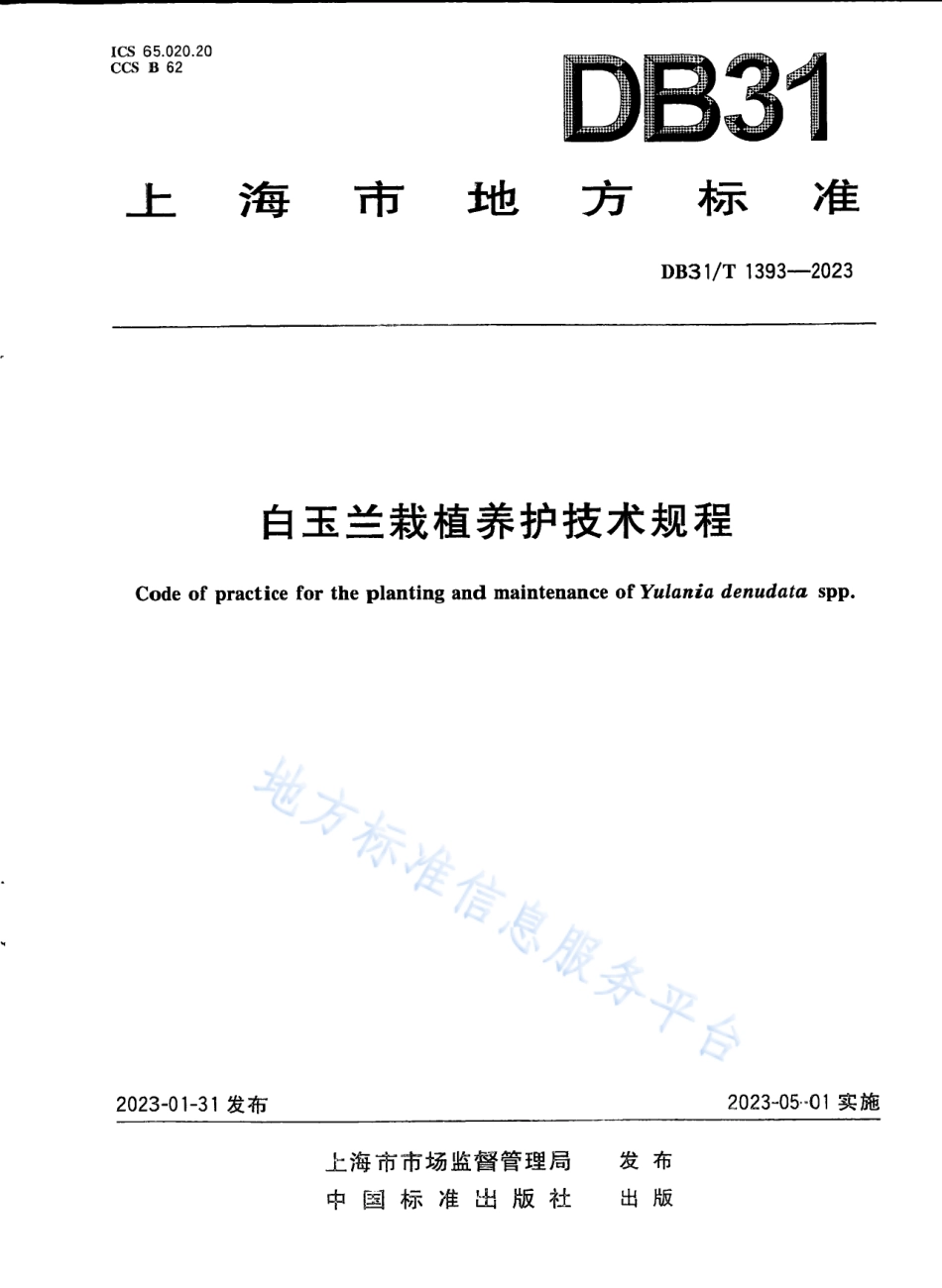 DB31_T 1393-2023白玉兰栽植养护技术规范.pdf_第1页