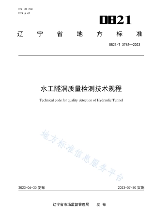 DB21_T 3762—2023水工隧洞质量检测技术规程.pdf