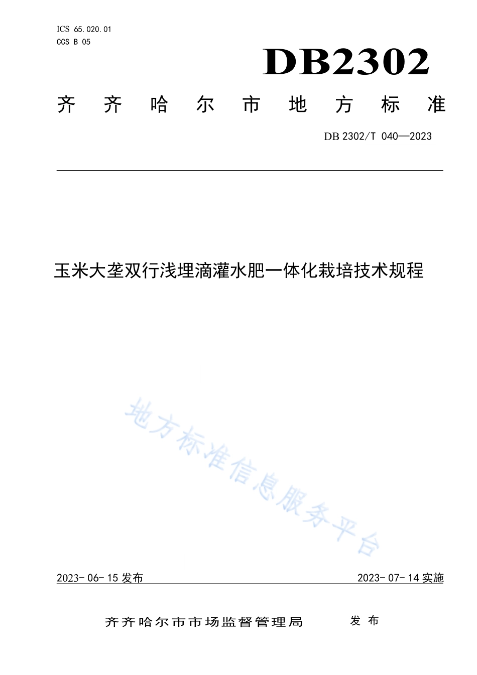 DB2302_T 040-2023玉米大垄双行浅埋滴灌水肥一体化栽培技术规程.pdf_第1页