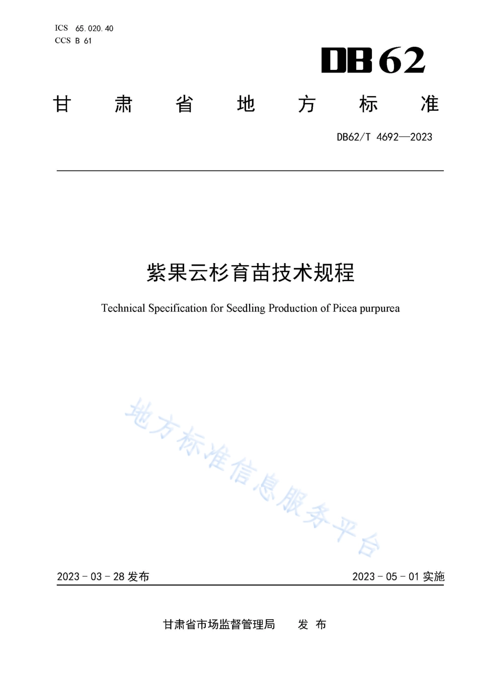 DB62_T 4692-2023紫果云杉育苗技术规程.pdf_第1页