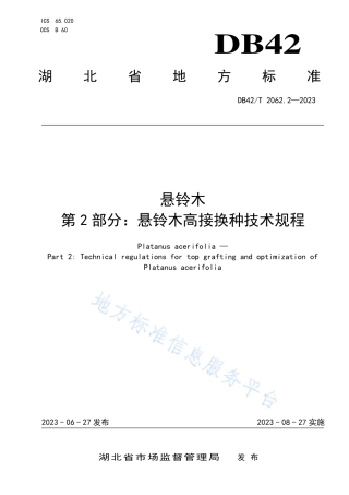 DB42_T 2062.2-2023悬铃木 第2部分：悬铃木高接换种技术规程.pdf