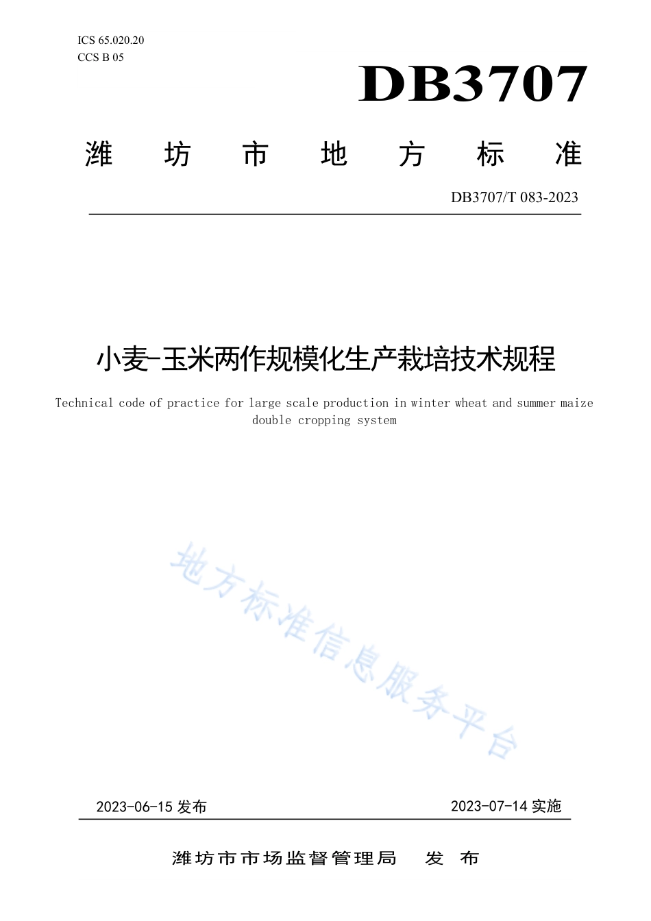 DB3707_T 083—2023小麦-玉米两作规模化生产栽培技术规程.pdf_第1页