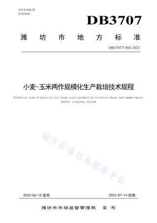 DB3707_T 083—2023小麦-玉米两作规模化生产栽培技术规程.pdf