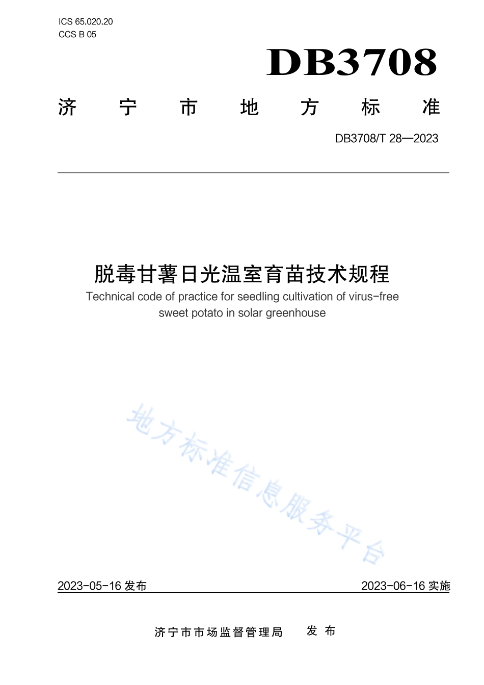 DB3708_T 28-2023脱毒甘薯日光温室育苗技术规程.pdf_第1页