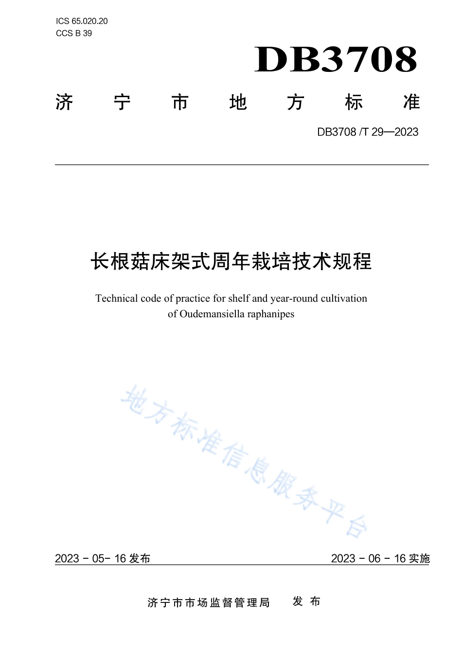 DB3708_T 29-2023长根菇床架式周年栽培技术规程.pdf_第1页