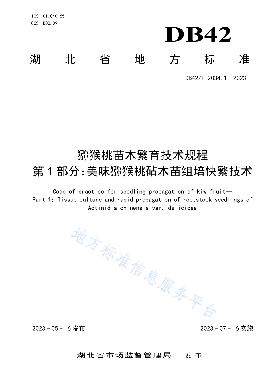 DB42_T 2034.1-2023猕猴桃苗木繁育技术规程 第1部分：美味猕猴桃砧木苗组培快繁技术.pdf_第1页
