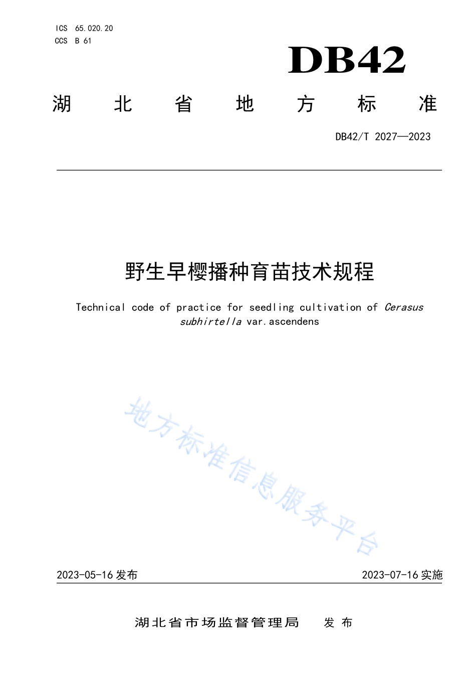 DB42_T 2027-2023野生早樱播种育苗技术规程.pdf_第1页