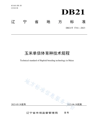 DB21_T 3741—2023玉米单倍体育种技术规程.pdf