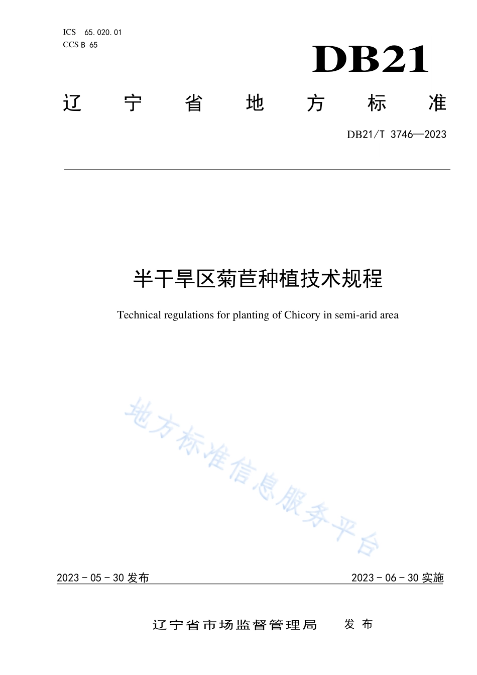 DB21_T 3746—2023半干旱区菊苣种植技术规程.pdf_第1页