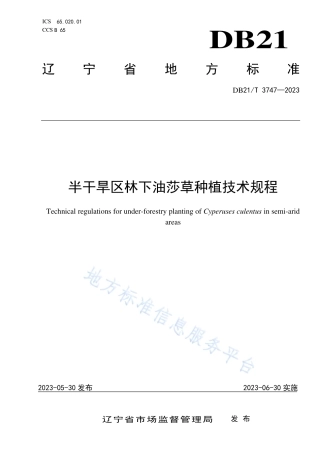 DB21_T 3747—2023半干旱区林下油莎草种植技术规程.pdf