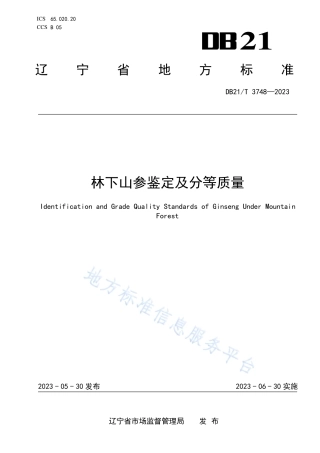 DB21_T 3748—2023林下山参鉴定及分等质量.pdf
