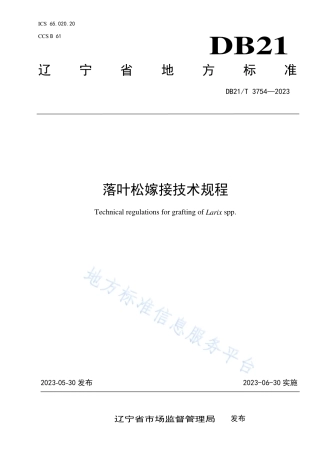 DB21_T 3754—2023落叶松嫁接技术规程.pdf