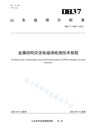 DB37_T 4599—2023金属结构交流电磁场检测技术规程.pdf