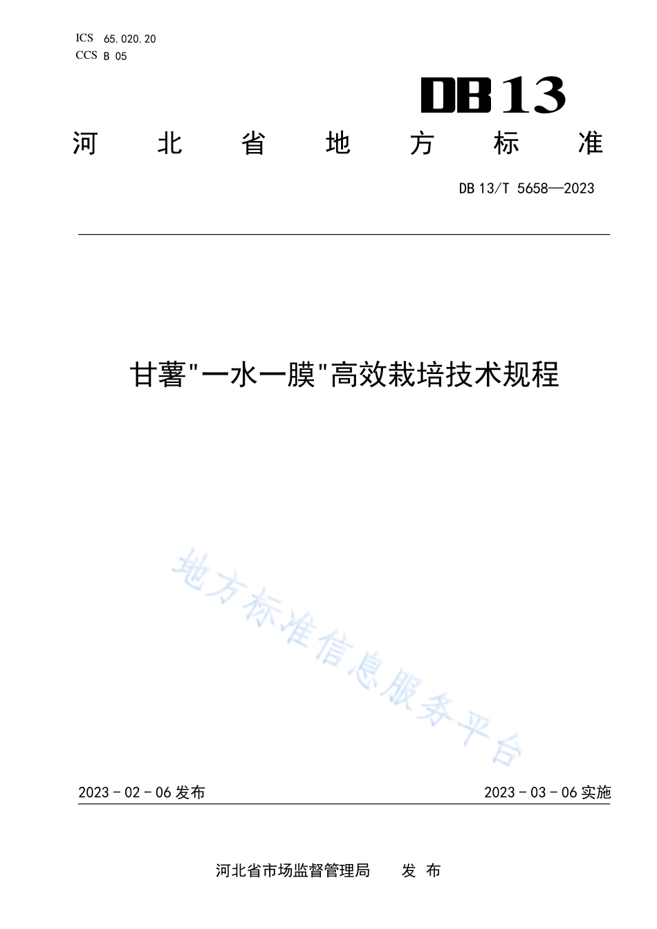 DB13_T 5658-2023甘薯_一水一膜_高效栽培技术规程.pdf_第1页