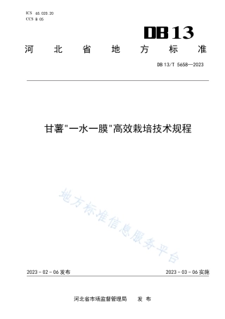DB13_T 5658-2023甘薯_一水一膜_高效栽培技术规程.pdf