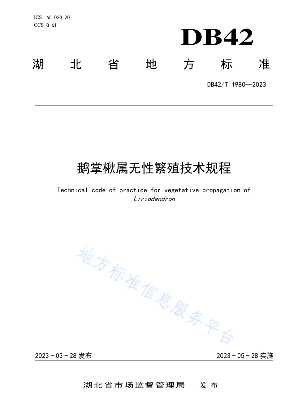 DB42_T 1980-2023鹅掌楸属无性繁殖技术规程.pdf_第1页