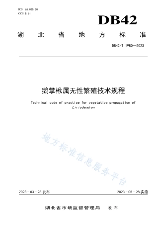 DB42_T 1980-2023鹅掌楸属无性繁殖技术规程.pdf