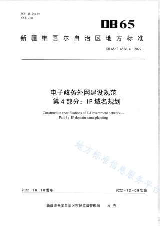 DB65_T 4536.4—2022电子政务外网建设规范第4部分：IP域名规划.pdf