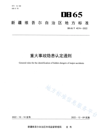 DB65_T 4574—2022重大事故隐患认定通则.pdf
