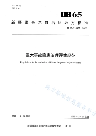 DB65_T 4573—2022重大事故隐患治理评估规范.pdf
