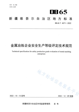 DB65_T 4571—2022金属冶炼企业安全生产等级评定技术规范.pdf